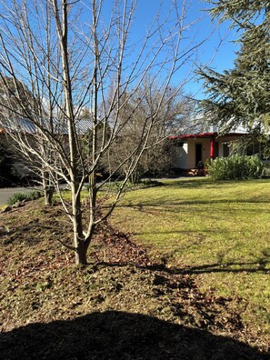 Una propiedad residencial con césped, un árbol sin hojas y una casa de techo rojo.