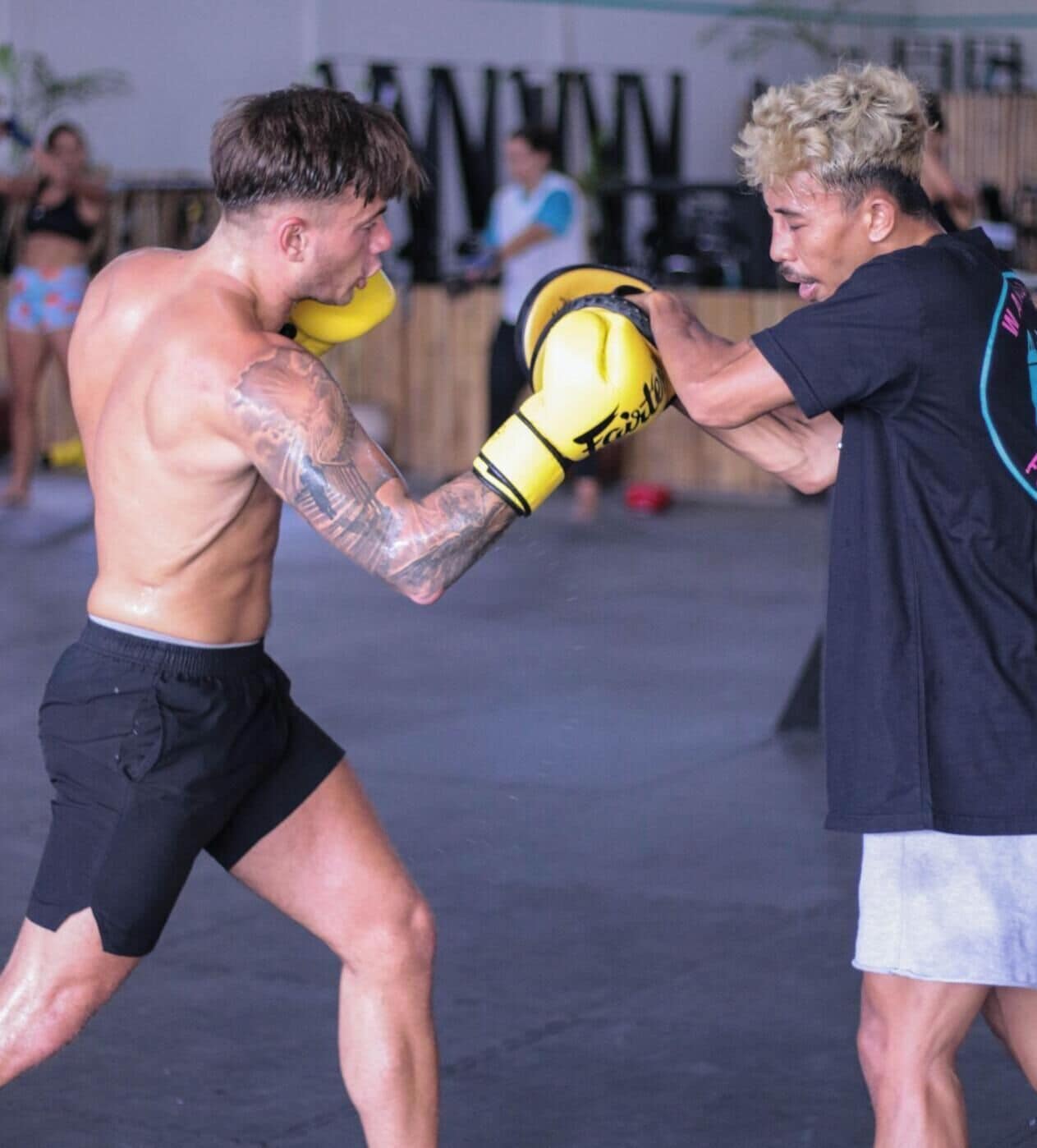 Two individuals engaged in a martial arts training session.