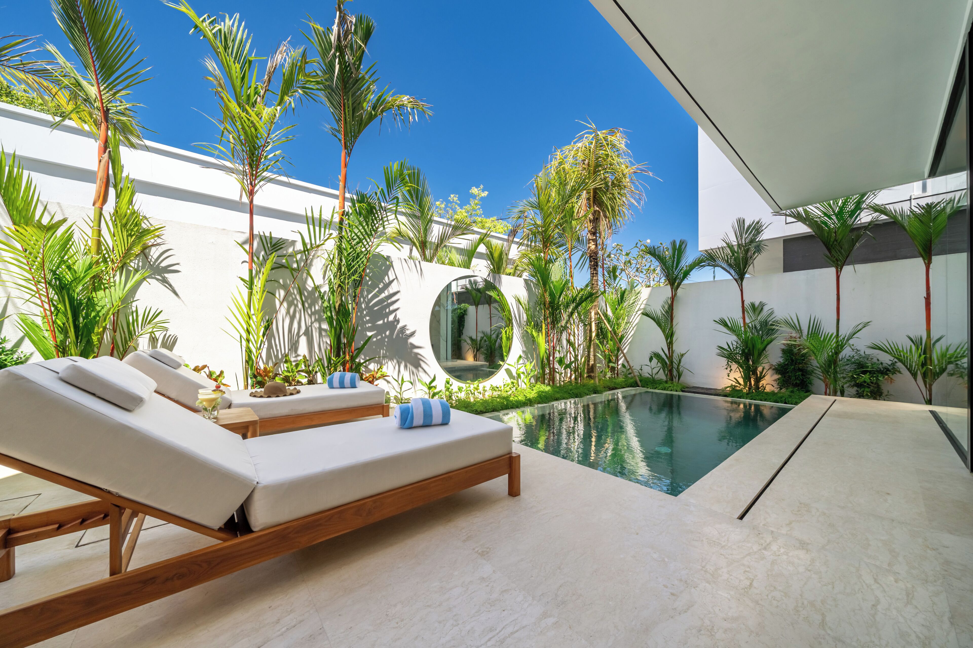 A modern outdoor pool area with lounge chairs and tropical plants.