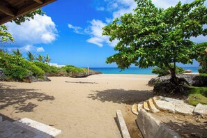 Une plage offrant une vue dégagée sur l’océan, avec un drapeau et un arbre.