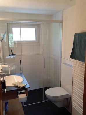 Ein modernes Badezimmer mit Duschkabine aus Glas, einer weißen Toilette und einem Waschbecken mit Handtuch.