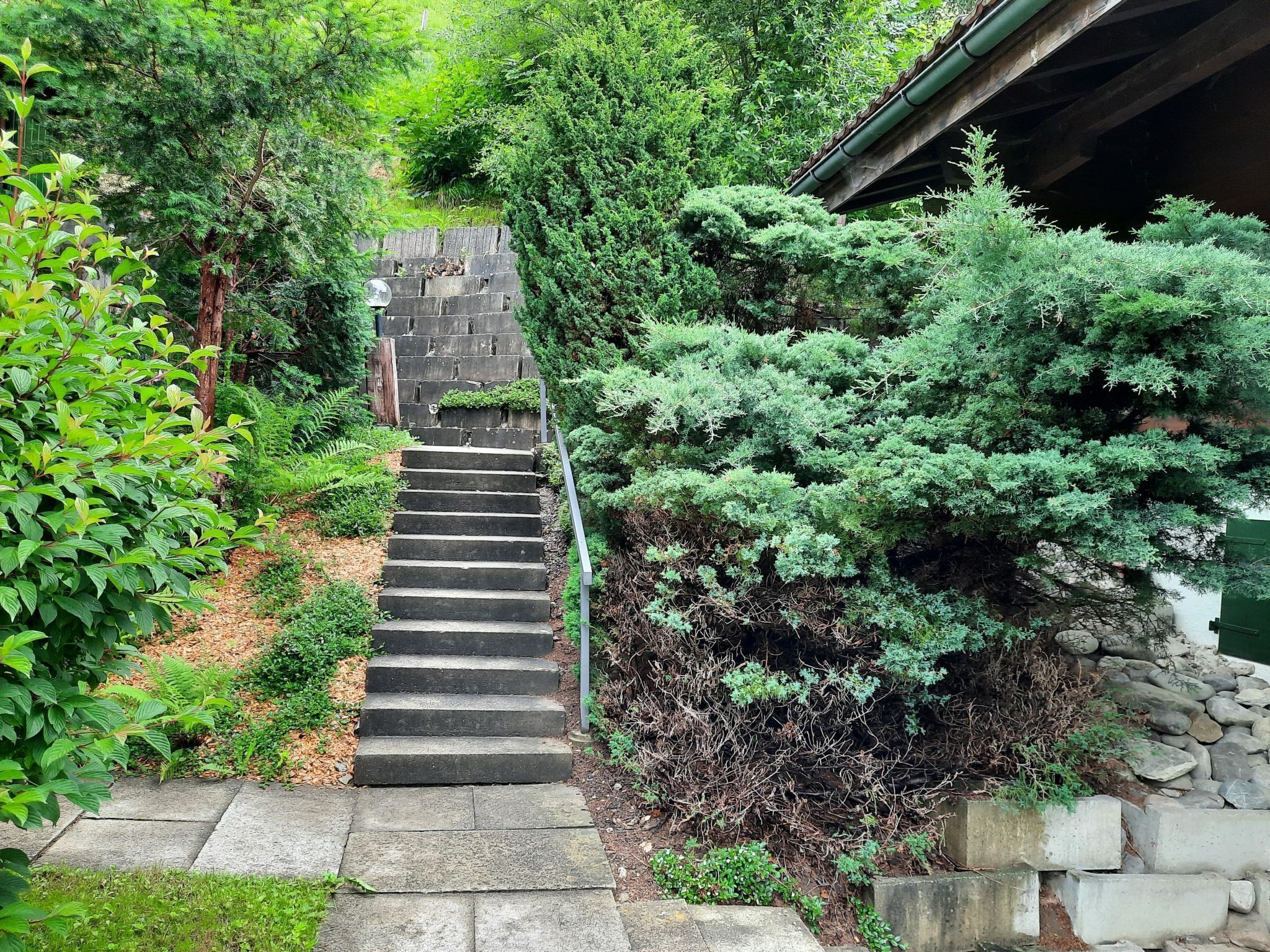 A stone staircase leading up to a building, surrounded by dense greenery and a stone wall.