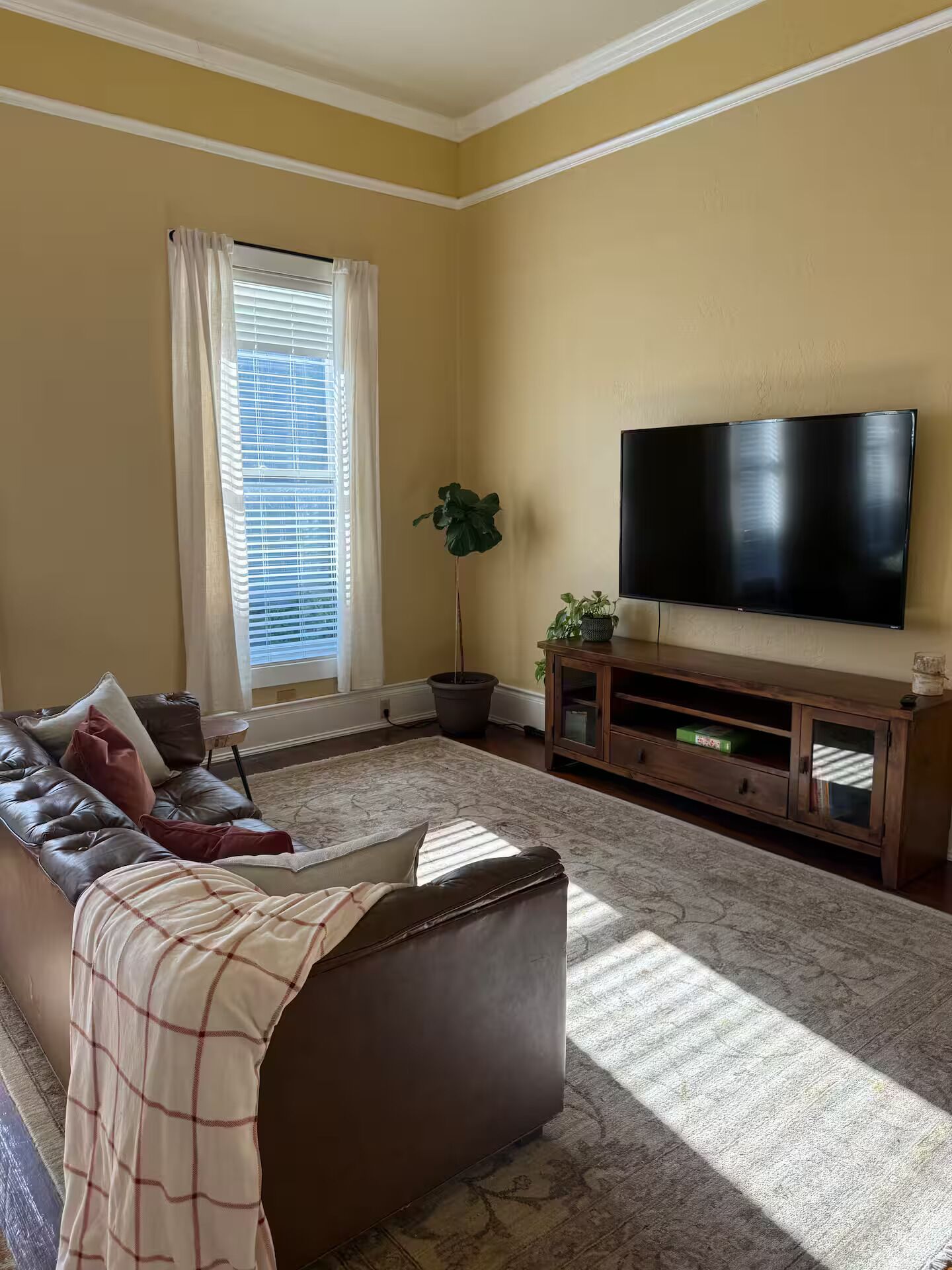 A living room with a leather sofa, a flat-screen TV, and a potted plant.