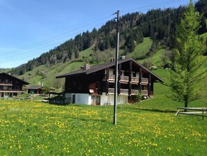 Eine Holzhütte mit geneigtem Dach, umgeben von einem Feld gelber Blumen, vor einer bewaldeten Hanglage.