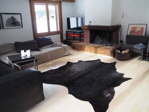 Ein Wohnzimmer mit einer Couch, einem Fernseher, einem Kamin und einem schwarzen Lederteppich.