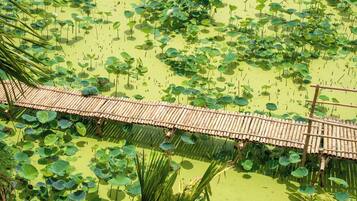 A bamboo bridge over a pond with lily pads.