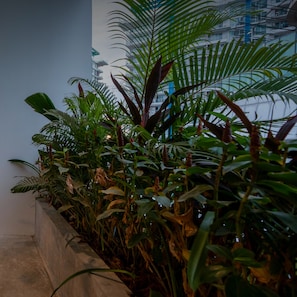 Diverse kamerplanten in een plantenbak, met een modern gebouw op de achtergrond.