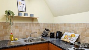 Una cocina con fregadero, encimera, armarios de madera, estufa y una planta colgante.
