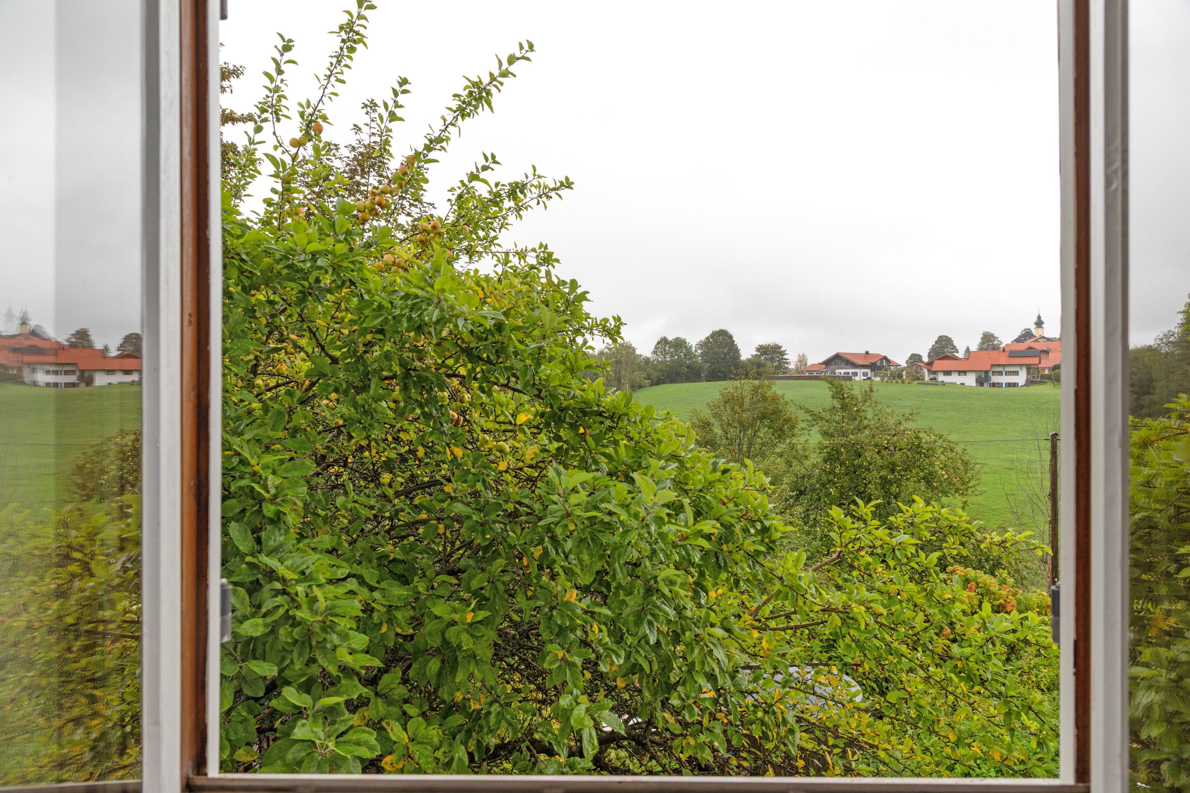 Blick durch ein Fenster auf eine üppige grüne Landschaft, im Hintergrund ein Gebäude.