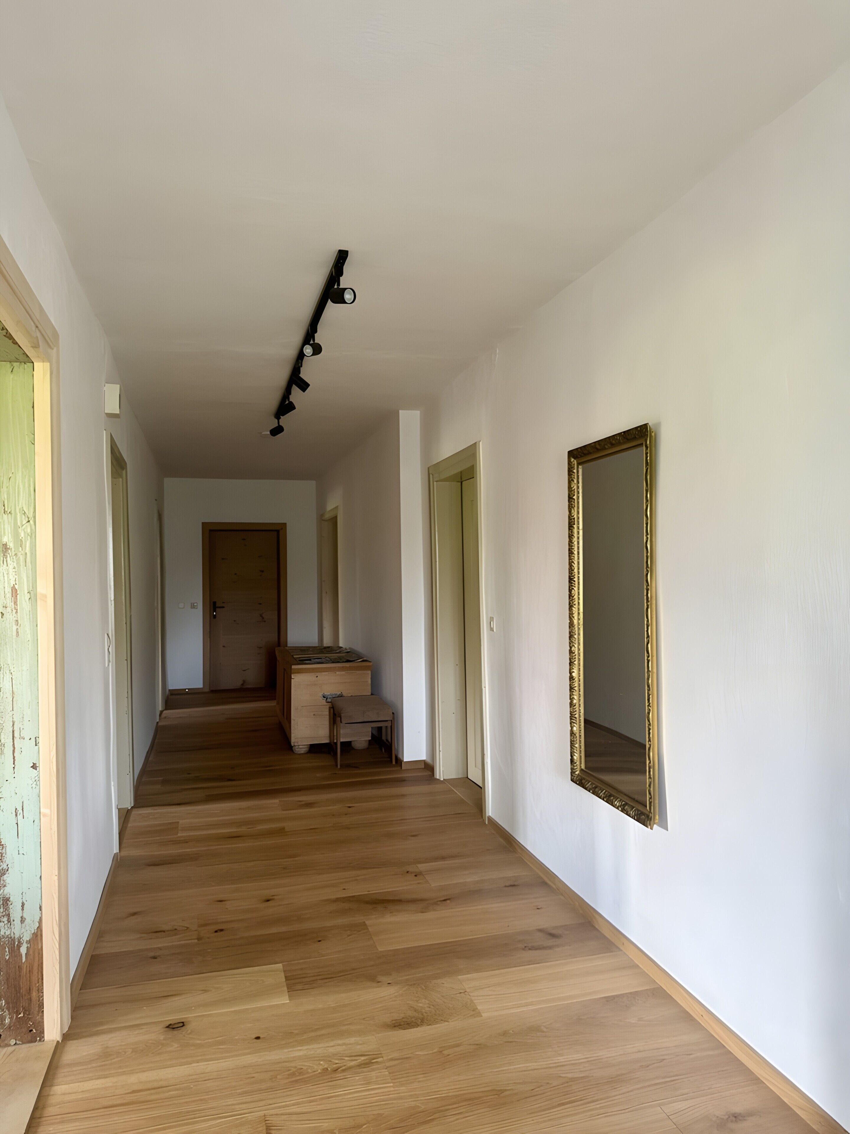 A hallway with wooden flooring, a ceiling light fixture, a mirror on the wall, and a door at the end.