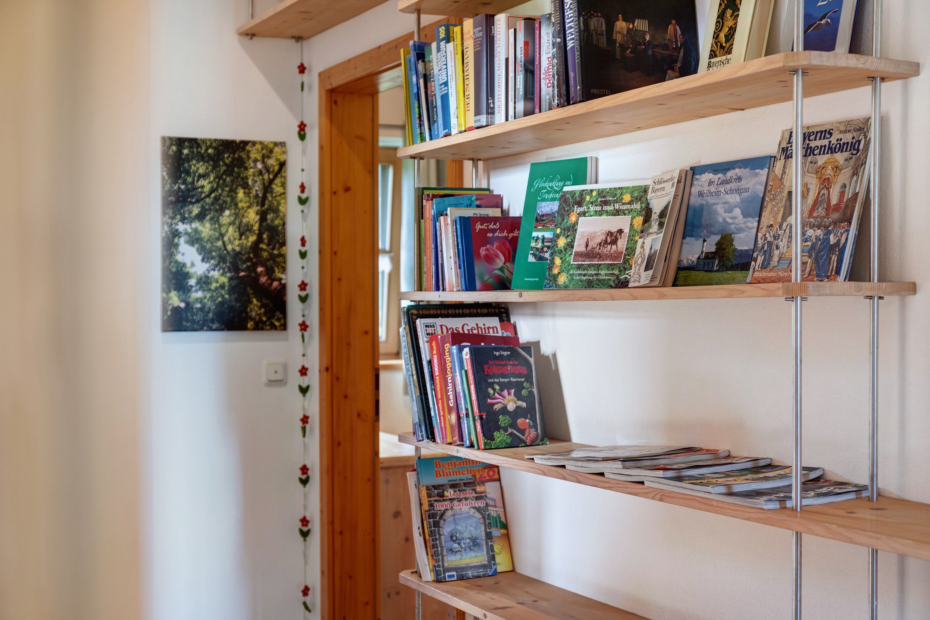 Una estantería con varios libros y un cuadro en la pared.
