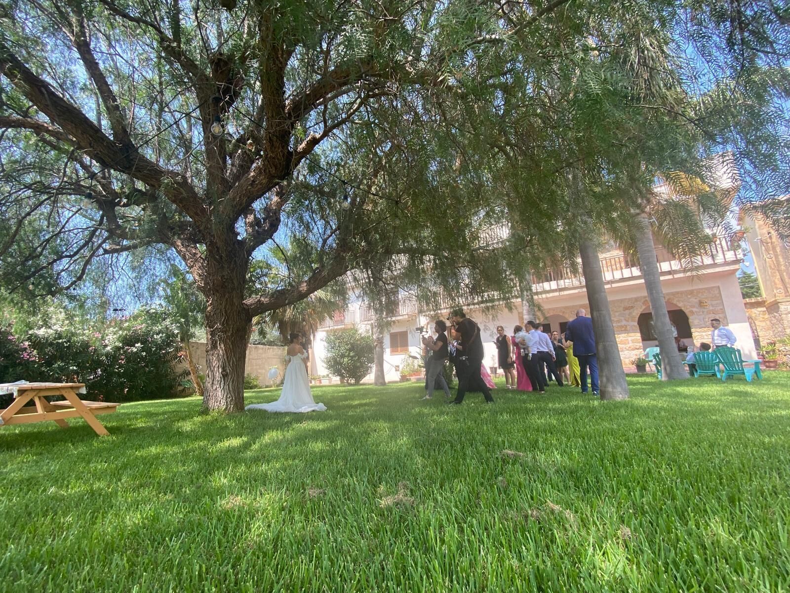 A grassy outdoor area with a tree, a picnic table, and a building in the background.