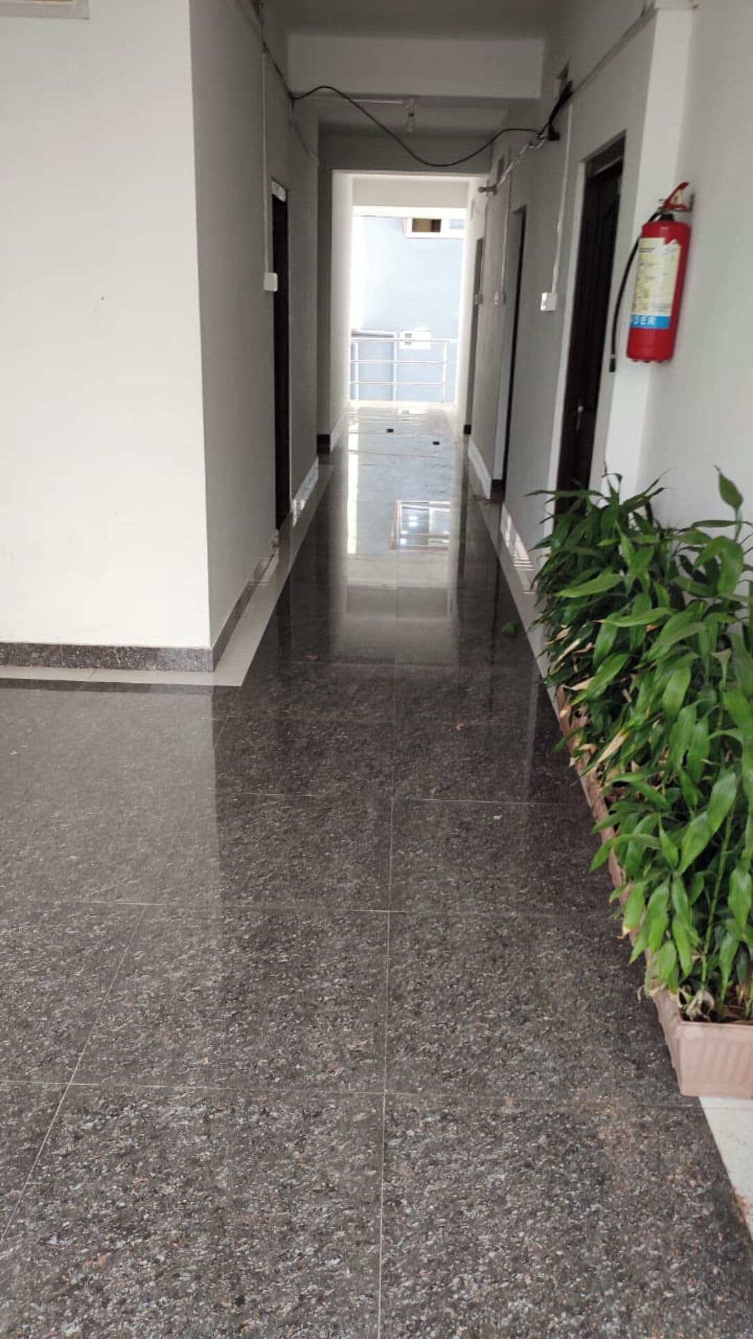A corridor with a polished floor, a fire extinguisher mounted on the wall, and a potted plant on the right.