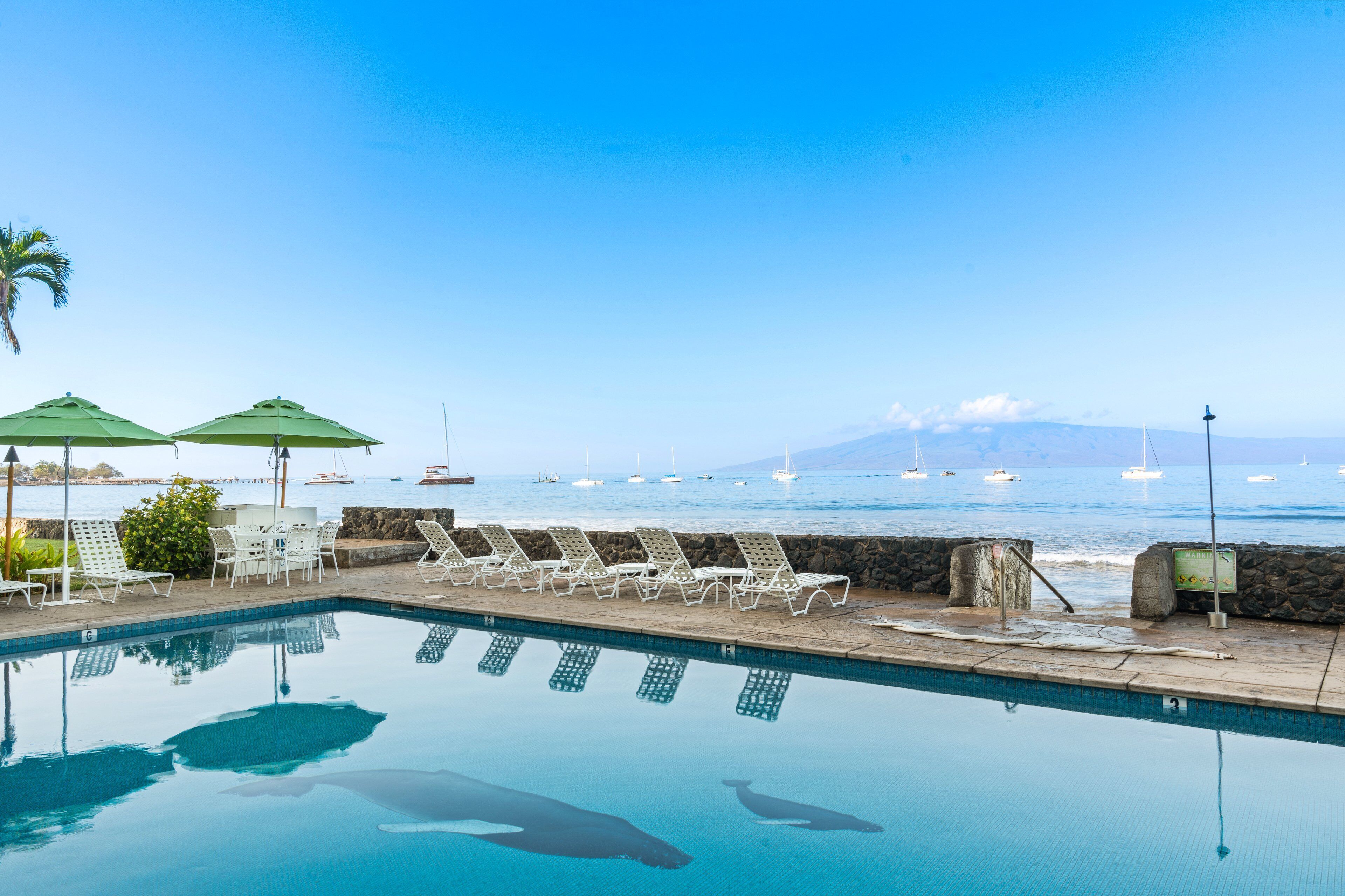 Ein Pool mit klarem Wasser, umgeben von Liegestühlen und Sonnenschirmen, mit Blick auf Boote auf dem Wasser.