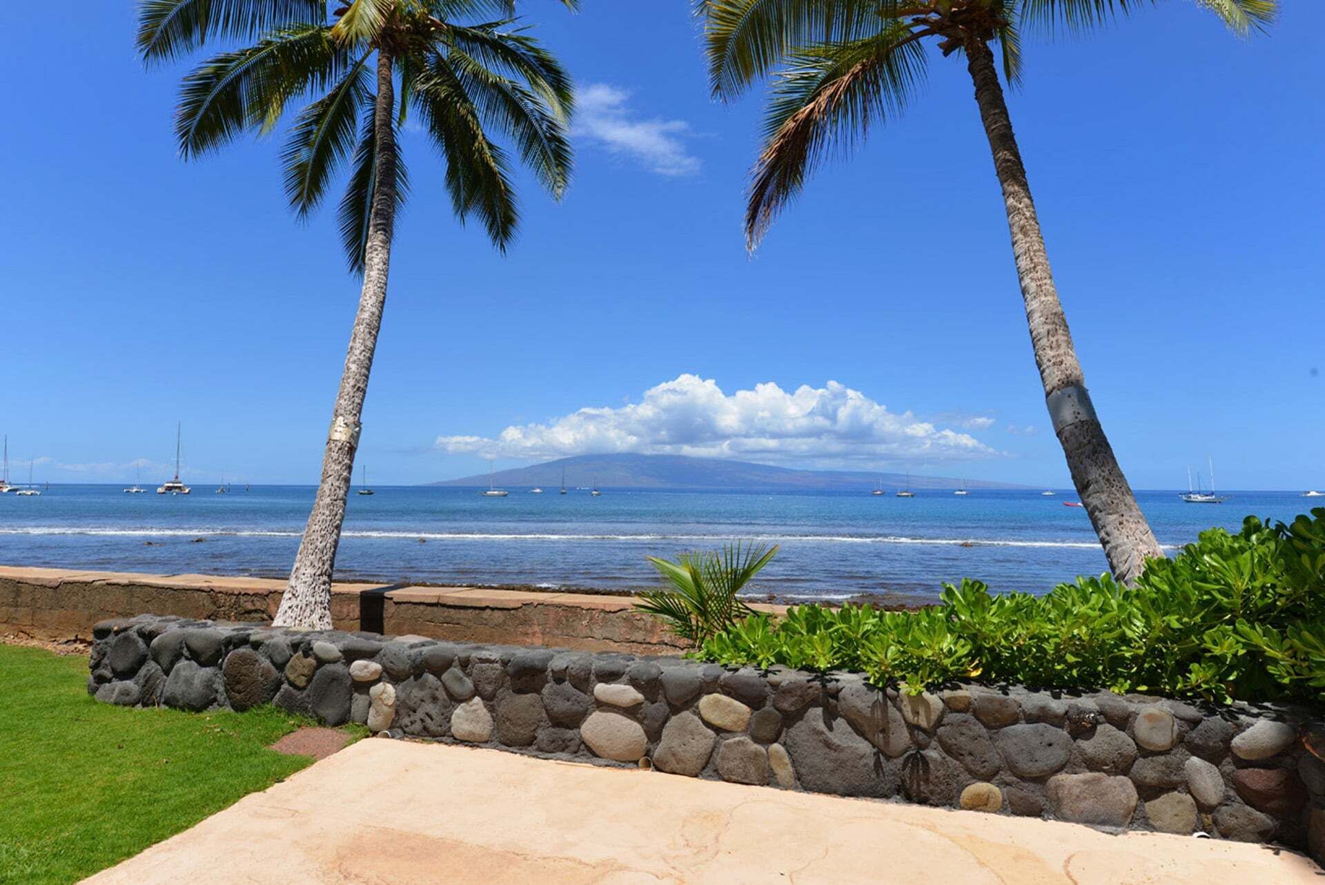 A beach with palm trees, a stone wall, and a view of the ocean with boats.