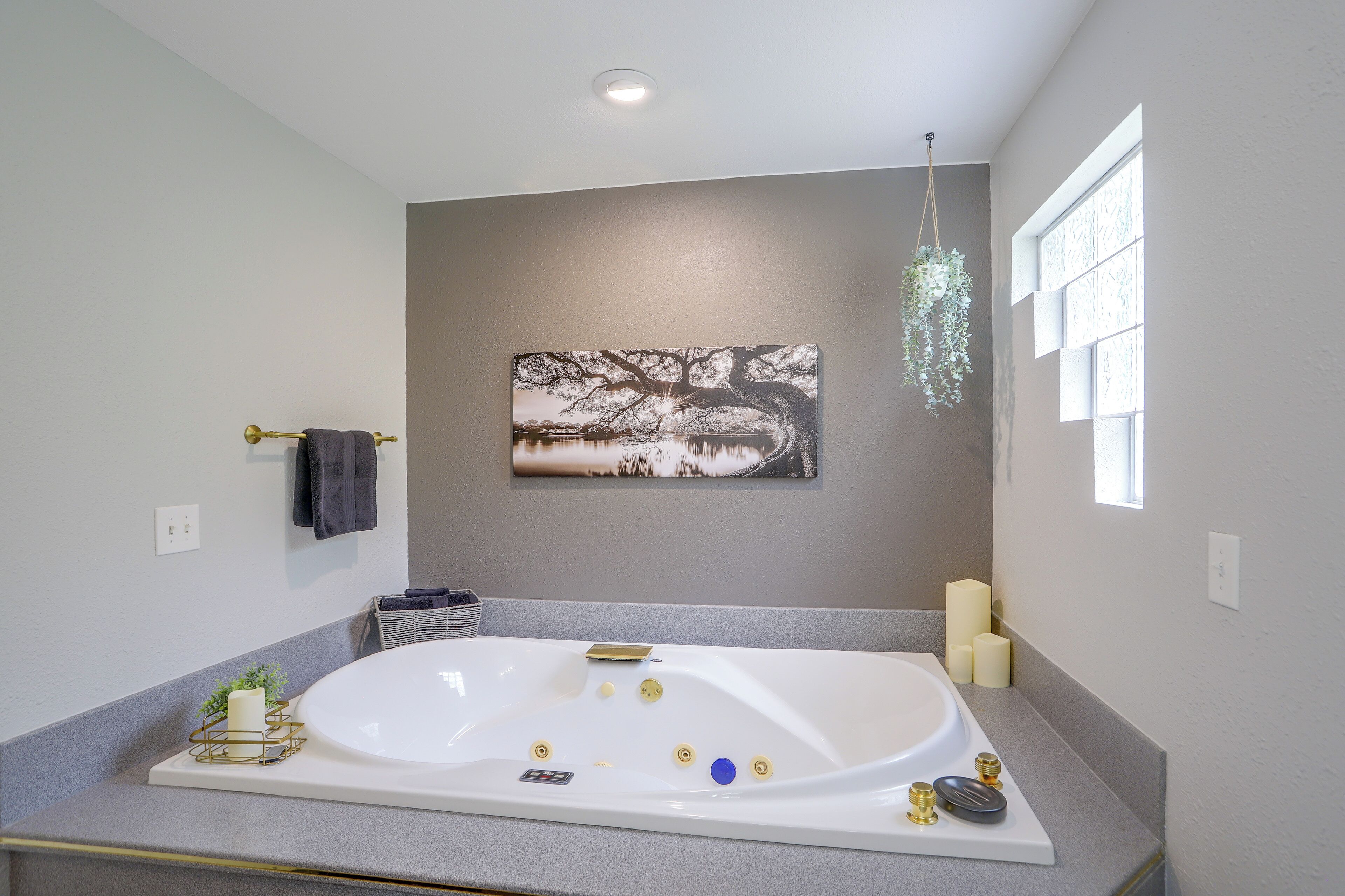 Une salle de bain avec une grande baignoire, un tableau accroché au mur et une plante suspendue.
