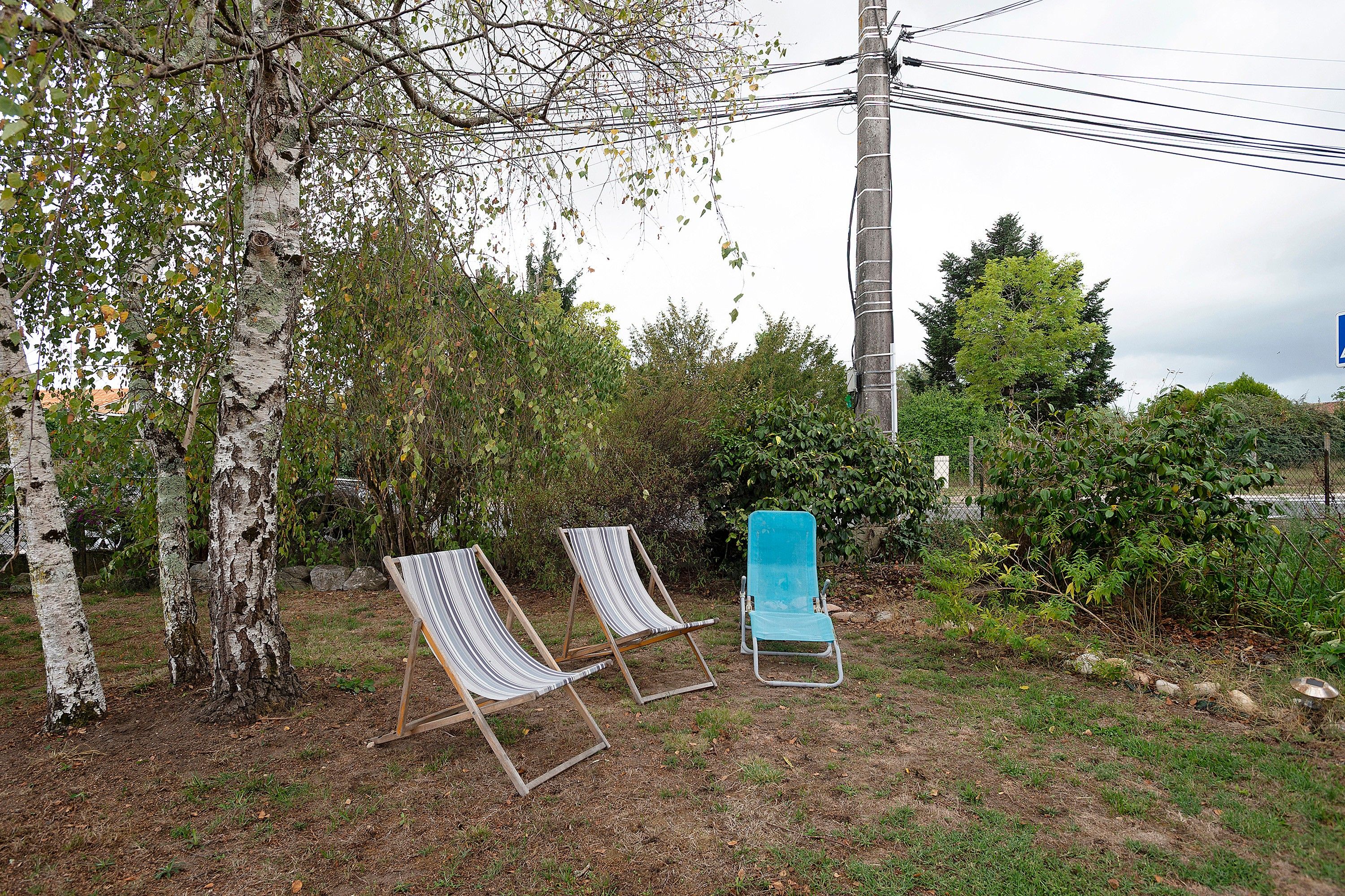 Two outdoor chairs in a garden with trees and a utility pole.
