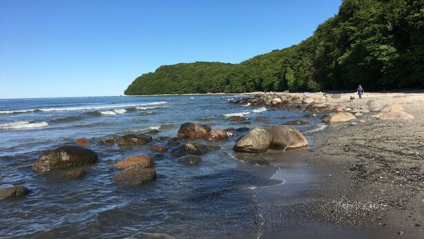 A beach with large rocks in the water, a sandy shore, and a forested hill in the background. - Bel blue, Residence Bel Vital (Binz)