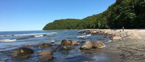 A beach with large rocks in the water, a sandy shore, and a forested hill in the background.