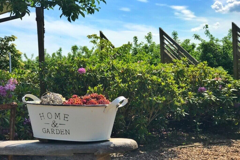 A white bucket labeled 'HOME & GARDEN' filled with plants, placed on a stone bench in a garden setting.