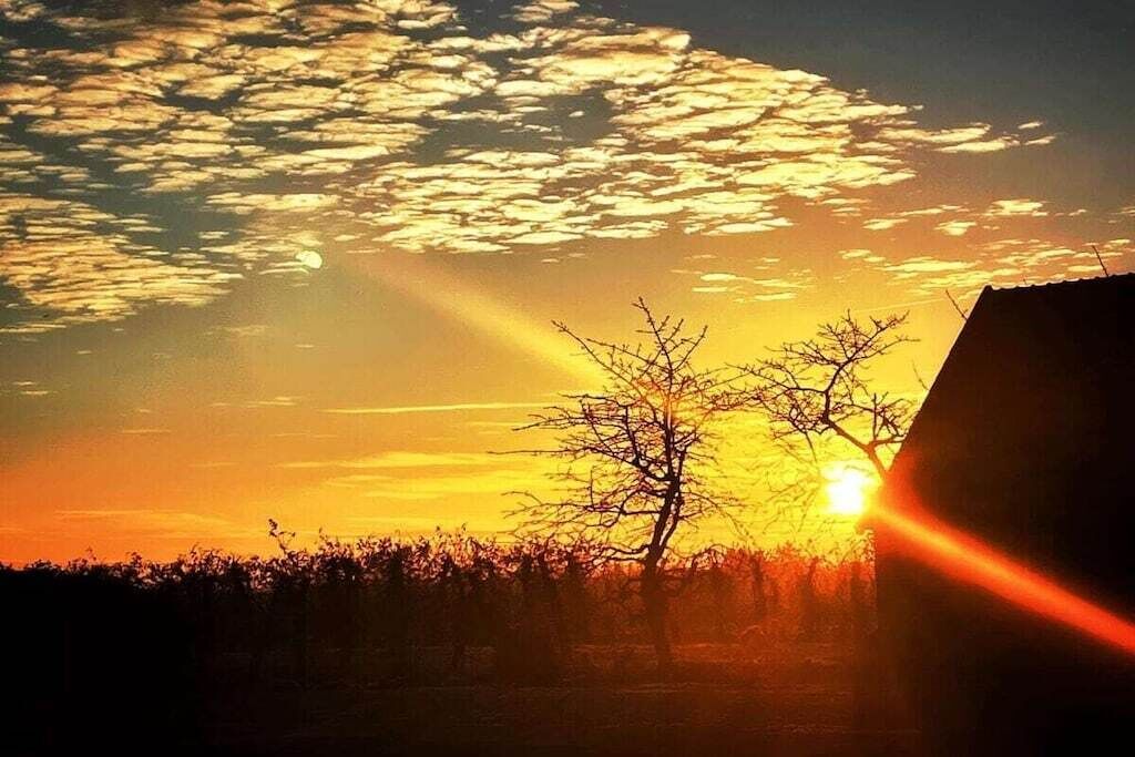 A sunset with a silhouette of a building and trees.