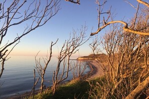 A coastal landscape with bare branches and a clear view of the sea. - Holiday home in Dranske with swimming pool (Dranske)