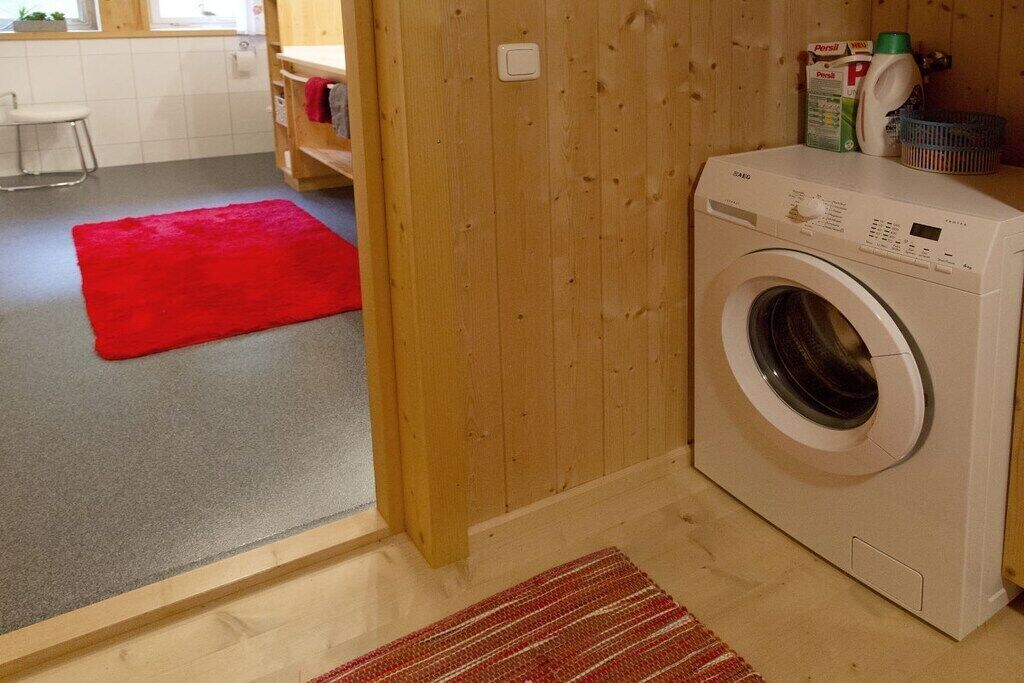A compact room with a washing machine, a red rug, and a wooden wall.