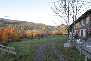 A rural landscape with a wooden house, a gravel path, and autumn-colored trees. - Hut "Behind" the Mountain (Hittisau)