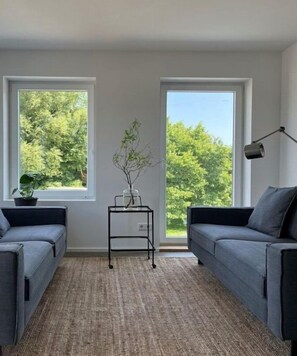 Smart-TV, Kamin