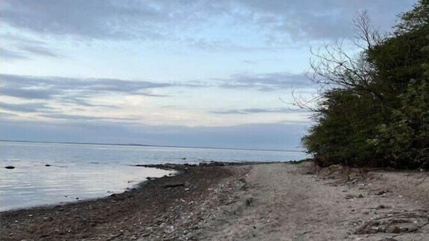 Playa
