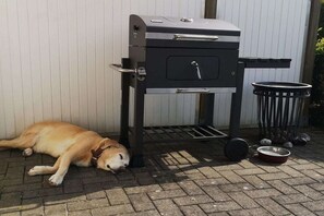 A dog lying on a brick patio next to a barbecue grill. - Holiday home with 2 bedrooms (Kronsgaard)