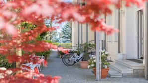 En asfalteret sti, der fører til en bygningindgang, med en cykel parkeret ved siden af.