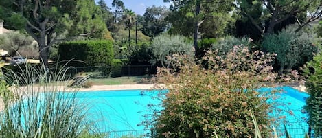 A swimming pool surrounded by lush greenery and trees.