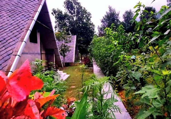 A garden with a pond, a pathway, and various plants.