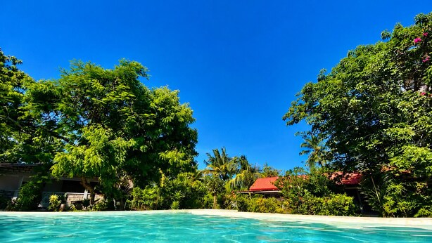 A clear blue pool surrounded by lush greenery and a red-roofed building. - Baobab Garden Studio with pool Watamu (Watamu)