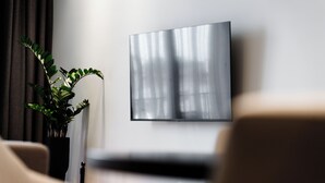 Una sala de estar moderna con un televisor de pantalla plana montado en la pared, una planta en maceta y un sofá.