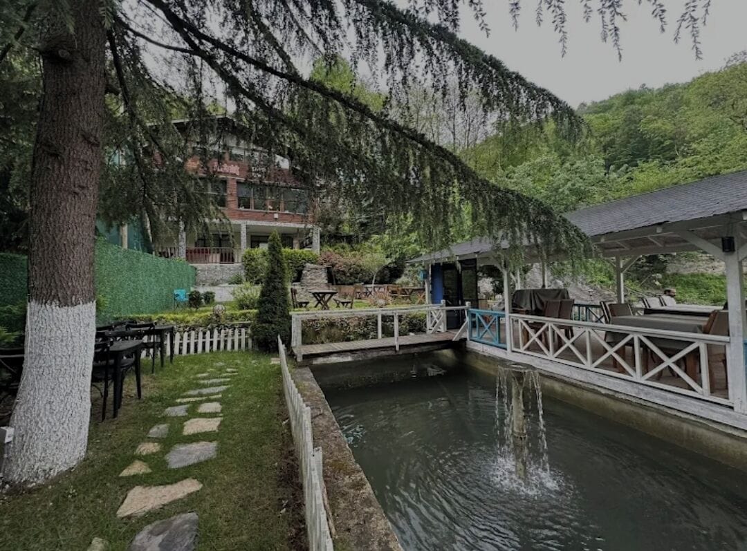 تناول الطعام بالخارج