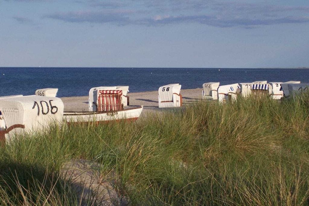Sillas de playa numeradas 106 y 58, una silla blanca, y una fila de sillas de playa a lo largo de una playa arenosa con el océano al fondo.