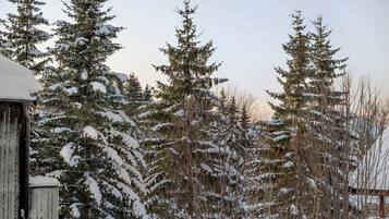A snowy landscape with tall evergreen trees and a wooden structure.