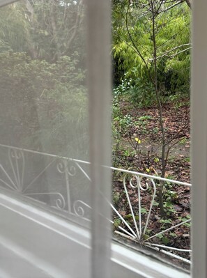 A window with a view of a garden area with a metal fence and various plants. - Apple Tree Cottage, a charming mid century hideaway close to town and bushwalks (Blackheath)