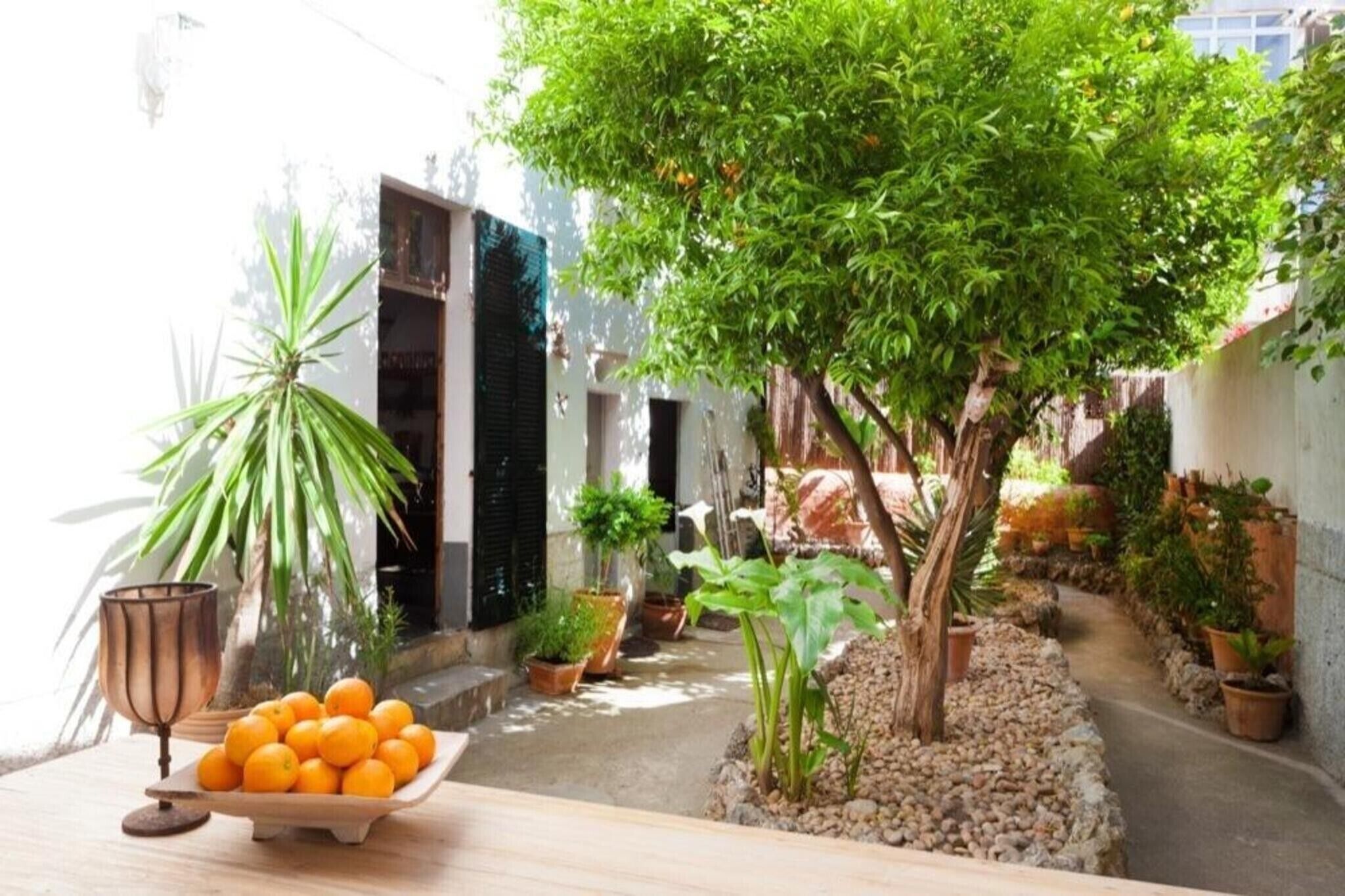 Un étroit sentier extérieur bordé de plantes en pot et d’un arbre, menant à l’entrée d’un bâtiment.