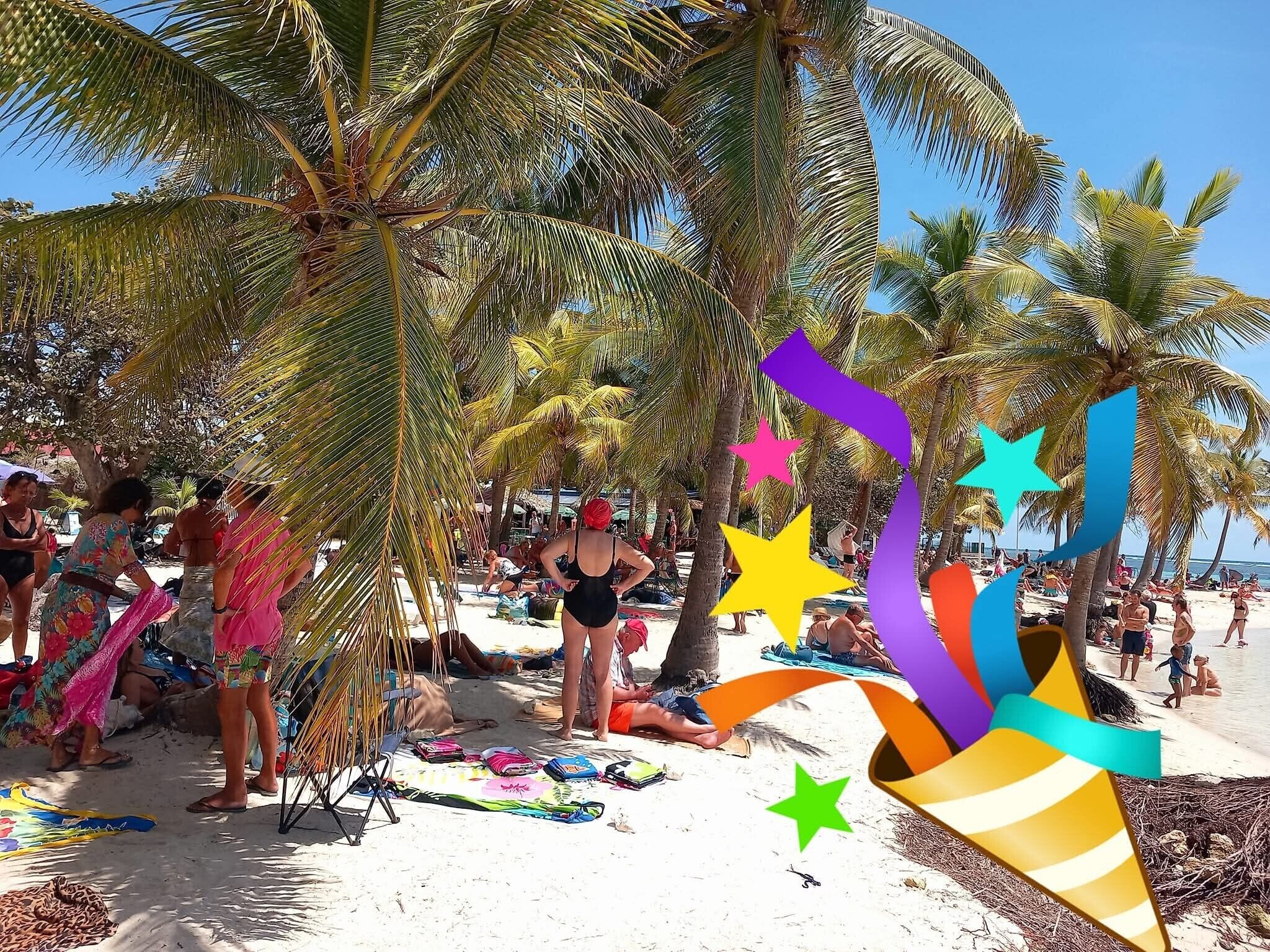 A beach with palm trees and people sunbathing.
