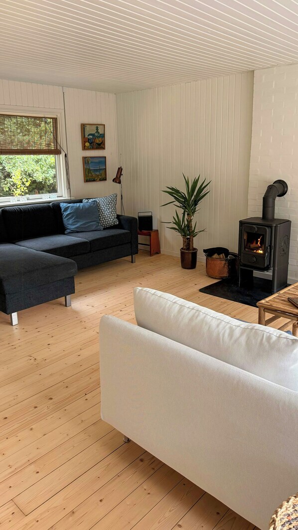 A living room with a sofa, a white armchair, a potted plant, a fireplace, and a window with blinds.