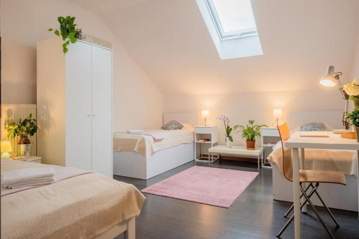 Soundproofing, iron/ironing board, WiFi (free)