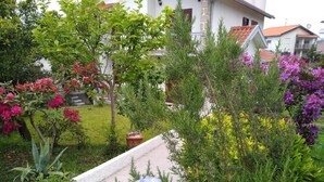 A residential garden with various plants and flowers, a pathway, and a house in the background. - Discover the perfect getaway in the heart of Vouzela and feel the rhythm of nature! (Vouzela)