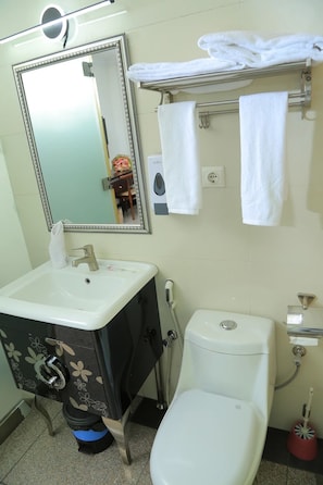 A bathroom with a sink, mirror, toilet, and towel rack. - Big Z Hote (Addis Ababa)