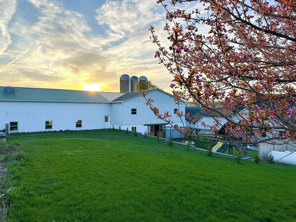 A white barn with a green roof, surrounded by a grassy field and a tree with pink blossoms.