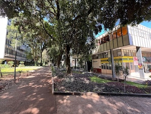 A pathway lined with trees and a building with a glass facade. - CLN 308 B Asa Norte (Brasília)