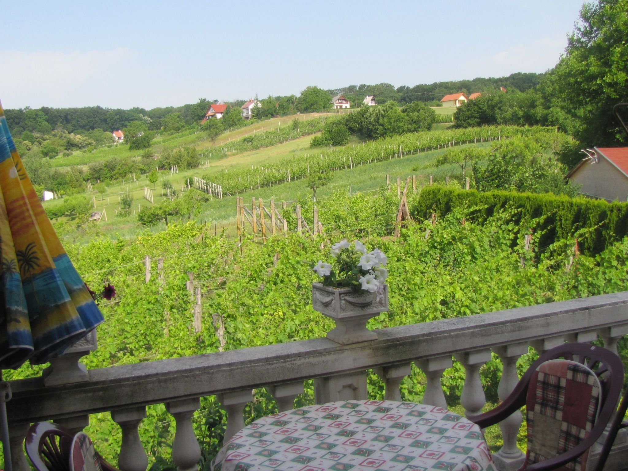 Ein Balkon mit Blick auf einen Weinberg, ein Tisch mit gemustertem Tischtuch und ein Stuhl.