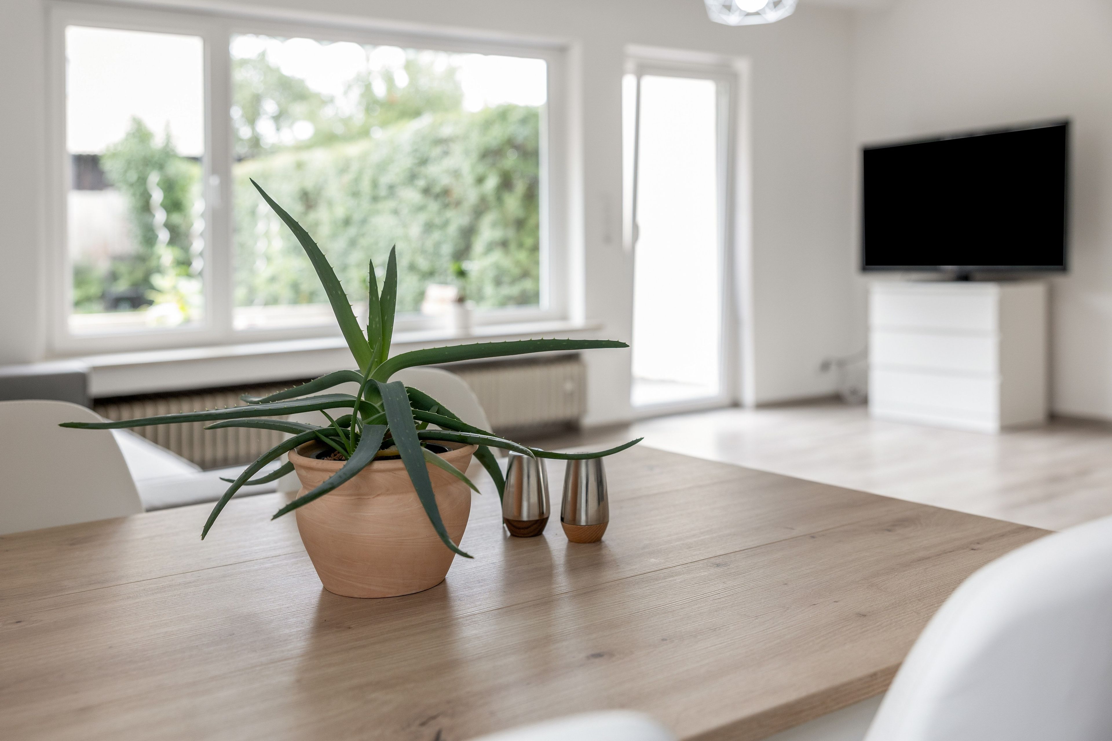 A modern living room with a wooden dining table, a potted aloe plant, and a television on a white cabinet.
